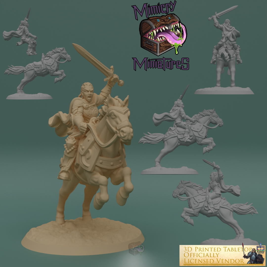 Imani Kingsguard - The Lost Adventures from 3D Printed Tabletop image 1